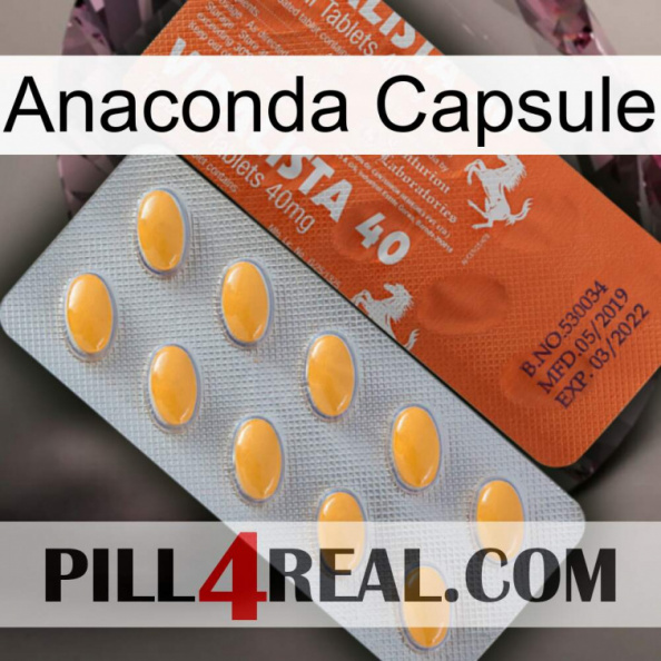 Anaconda Capsule 43.jpg